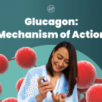 glucagon-mechanism-of-action:-key-to-blood-sugar-control